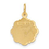 14k RN Registered Nurse Disc Charm