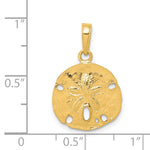 14k Polished Sand Dollar Pendant