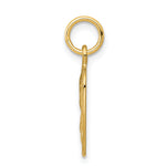 14K Satin and Diamond-Cut Angel Charm
