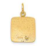 14K Satin and Diamond-Cut Angel Charm