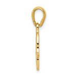 14k Star of David Chamseh Pendant