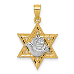 14k Two-tone Textured/Diamond-cut Dove On Star Of David Pendant