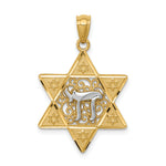 14k Two-tone Gold Polished Star of David w/Chai Pendant