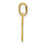 14k Diamond-cut Polished RN Nurse Pendant