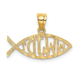 14K WWJD  Ichthus Charm