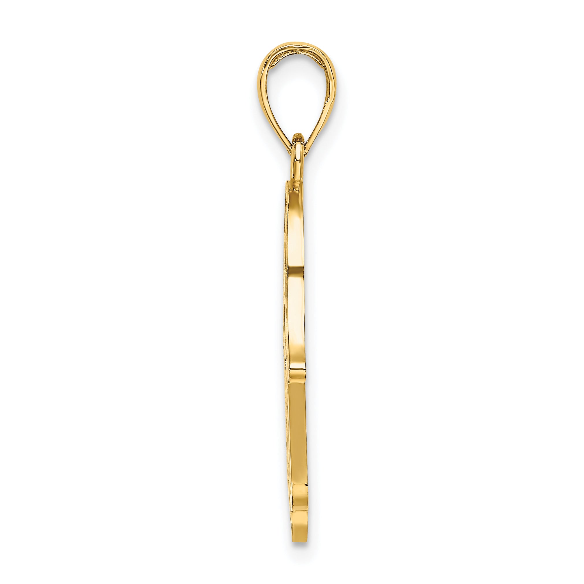 14K Chamseh W/ Star Of David Charm