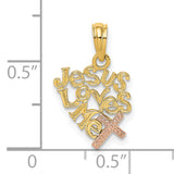 14K Two-Tone JESUS LOVES ME Charm