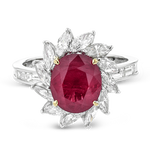 Color Ring in Platinum