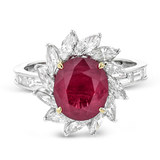 Color Ring in Platinum
