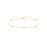D/C and Mini Polished Bead Adjustable Anklet