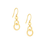 Double Circle Earrings on Fish Hook