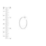 28mm x 19.5mm Oval Post Hoop Earrings