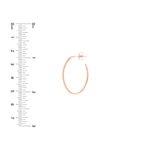28mm x 19.5mm Oval Post Hoop Earrings