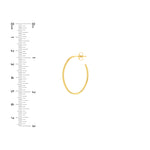 28mm x 19.5mm Oval Post Hoop Earrings