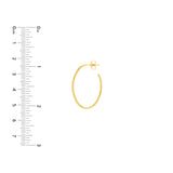 28mm x 19.5mm Oval Post Hoop Earrings