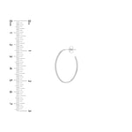 28mm x 19.5mm Oval Post Hoop Earrings