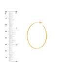 41.50mm x 31.50mm Thin Oval Post Hoop Earrings