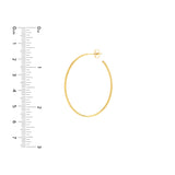 41.50mm x 31.50mm Thin Oval Post Hoop Earrings