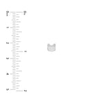 Cat Stud Earrings on Post Back