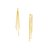 Front and Back Hammered Forzentina Earrings