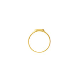 Mini Hexagon Bar Signet Ring
