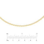 Rolo Choker Chain
