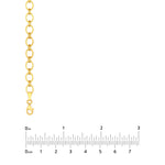 Oval Link 1+1 Chain