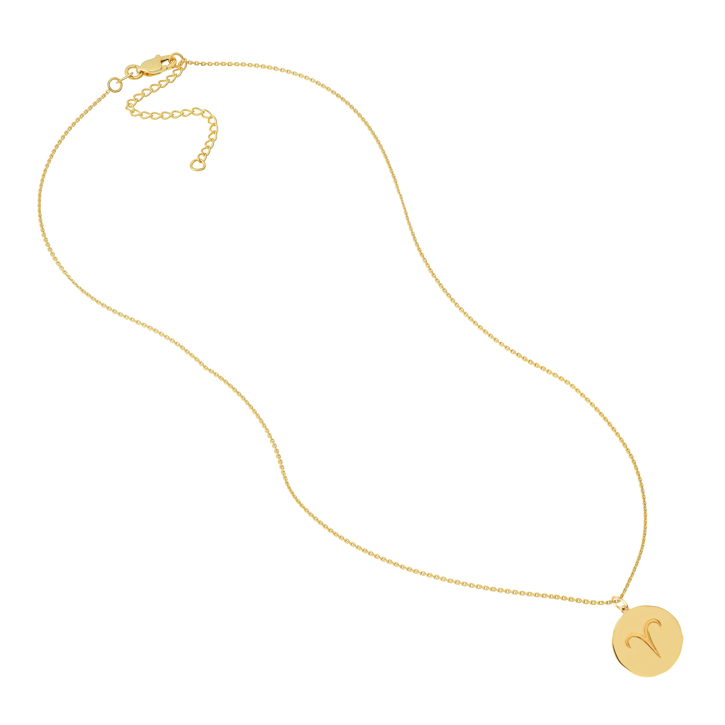 Aries Organic Disc Pendant Necklace