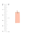 Small Rectangular Engravable Charm