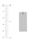 Large Rectangular Engravable Charm