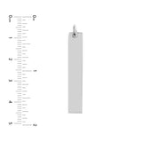 Long Vertical Bar Engravable Charm