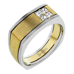 Men Ring in 14k Gold