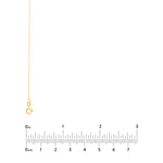 0.55mm Box Chain with Spring Ring