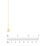 0.55mm Box Chain with Spring Ring and Q-Tag
