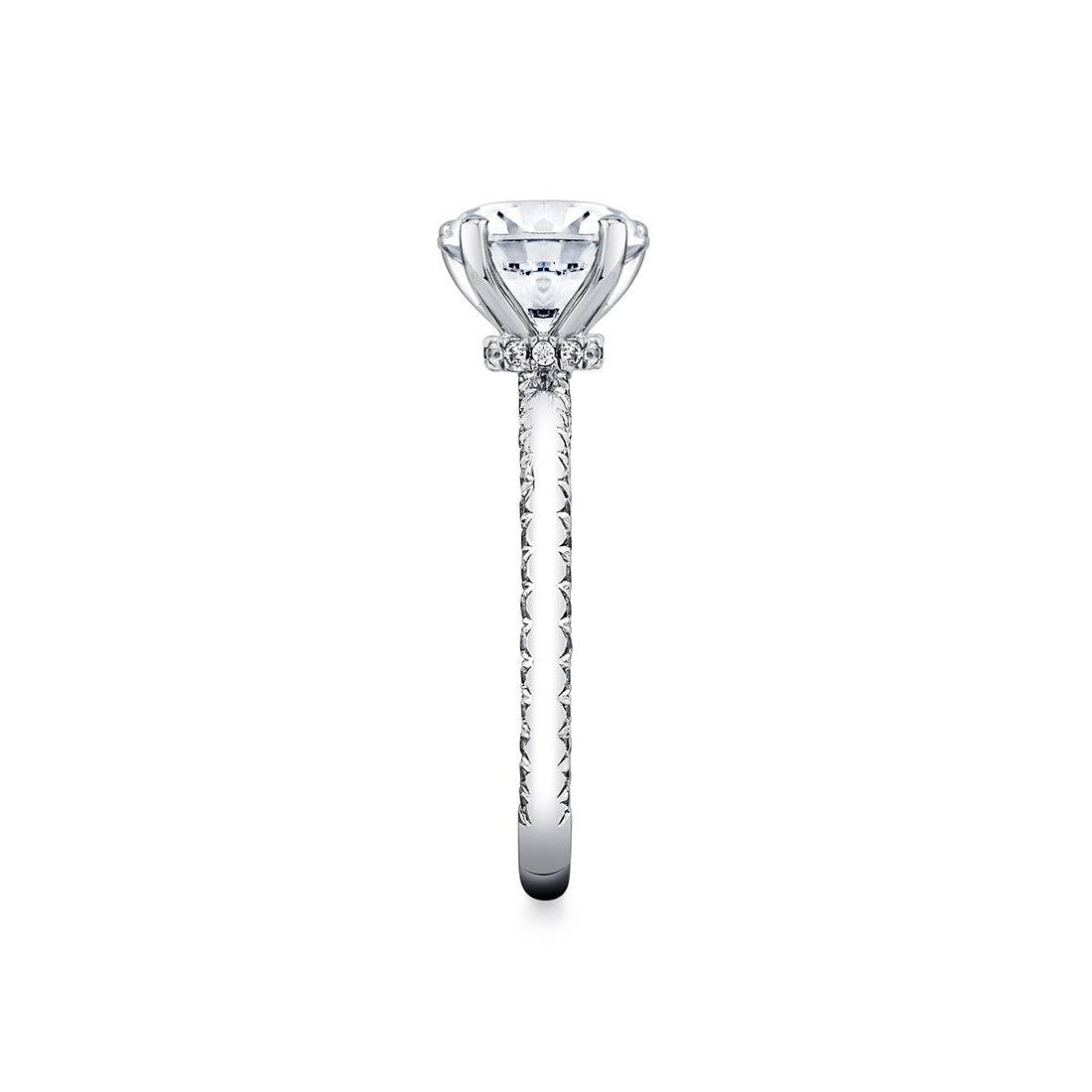 Round Cut Solitaire Engagement Ring with Diamond Profile and Hidden Halo Collar - Ciela