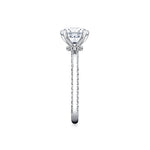 Round Cut Solitaire Engagement Ring with Diamond Profile and Hidden Halo Collar - Ciela