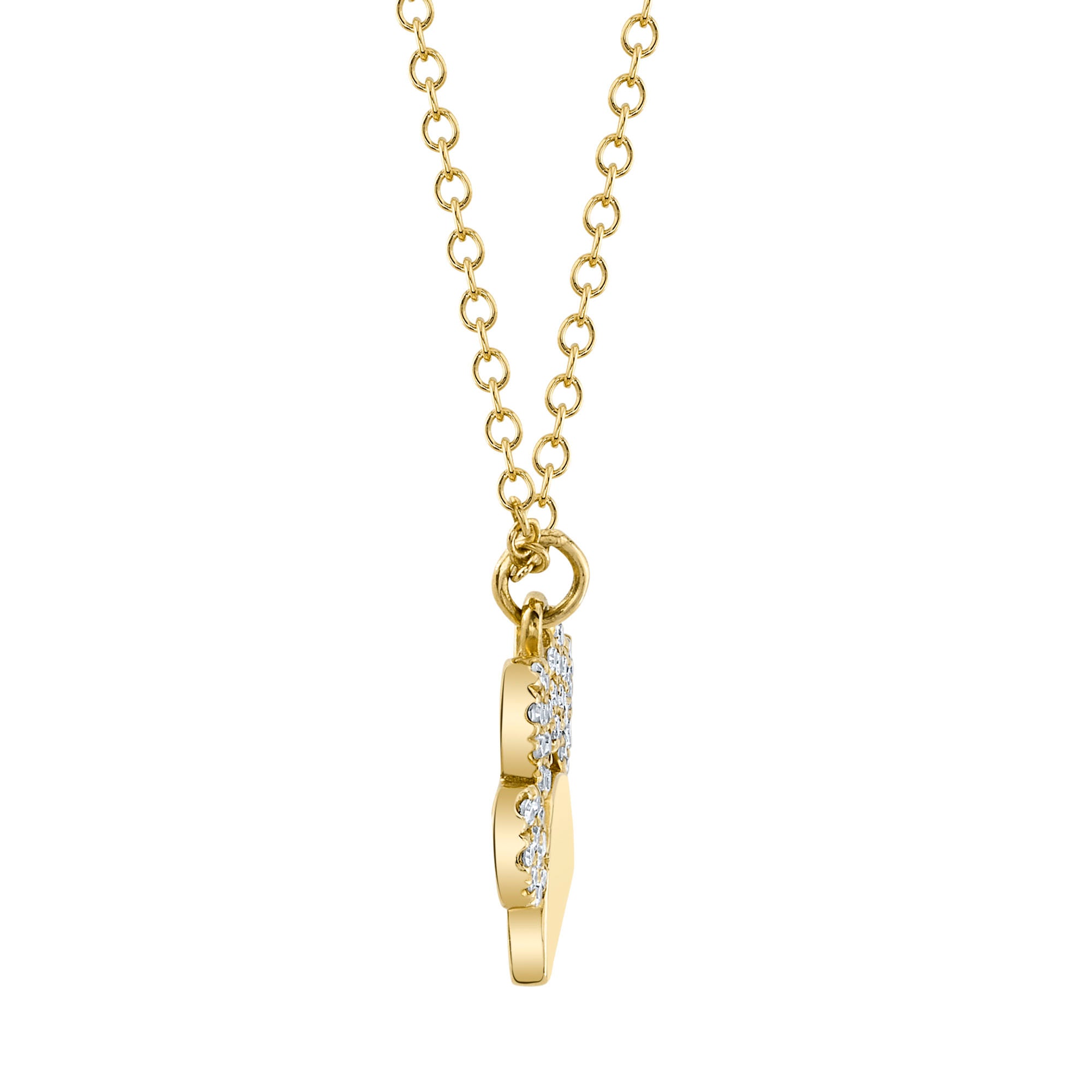 0.09CT 14K Y/G DIAMOND PAW NECKLACE