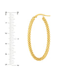 Oval Rope Twist Hoop Earrings