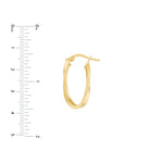 Curved Oval Hoop Earrings
