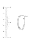 Curved Oval Hoop Earrings