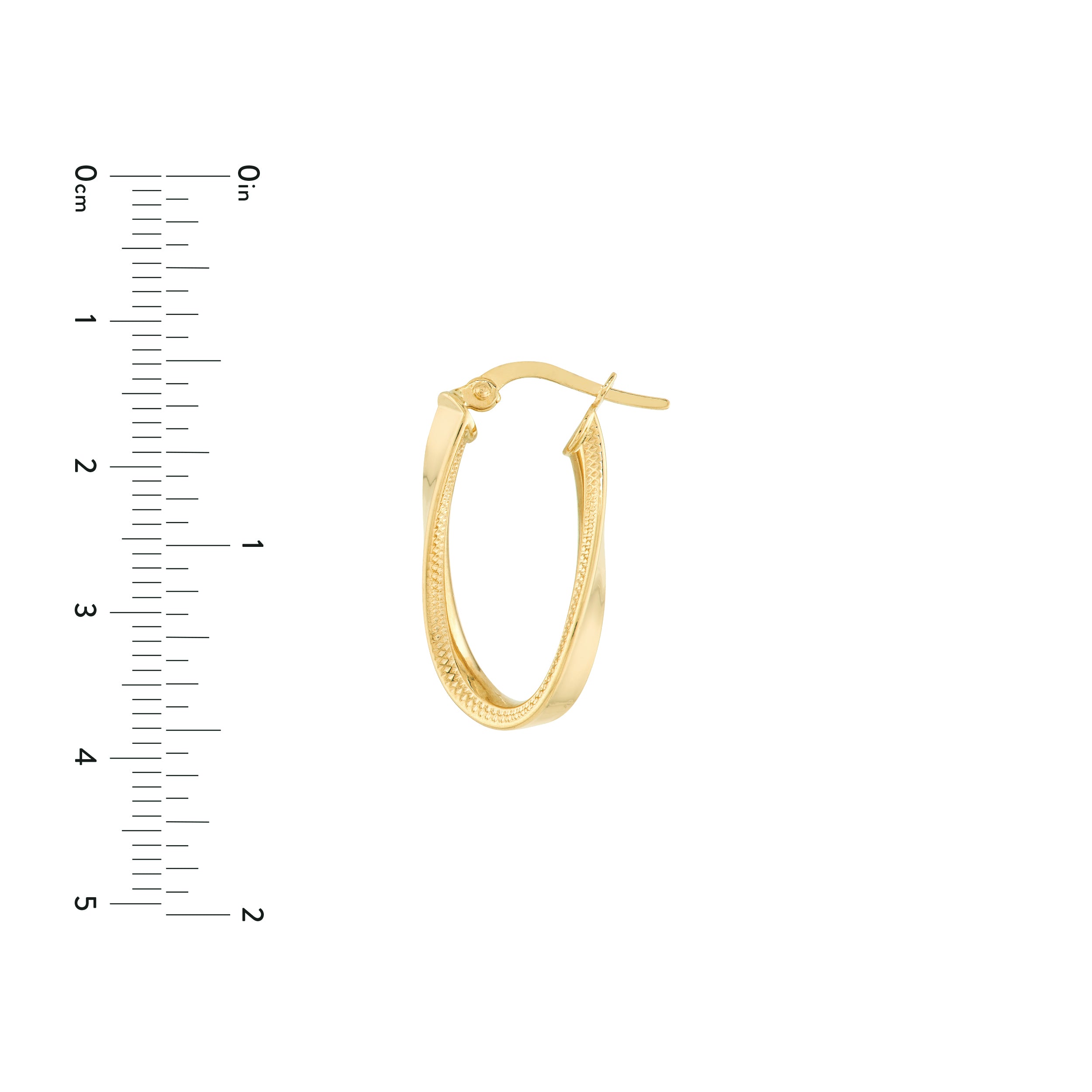Curved Oval Hoop Earrings