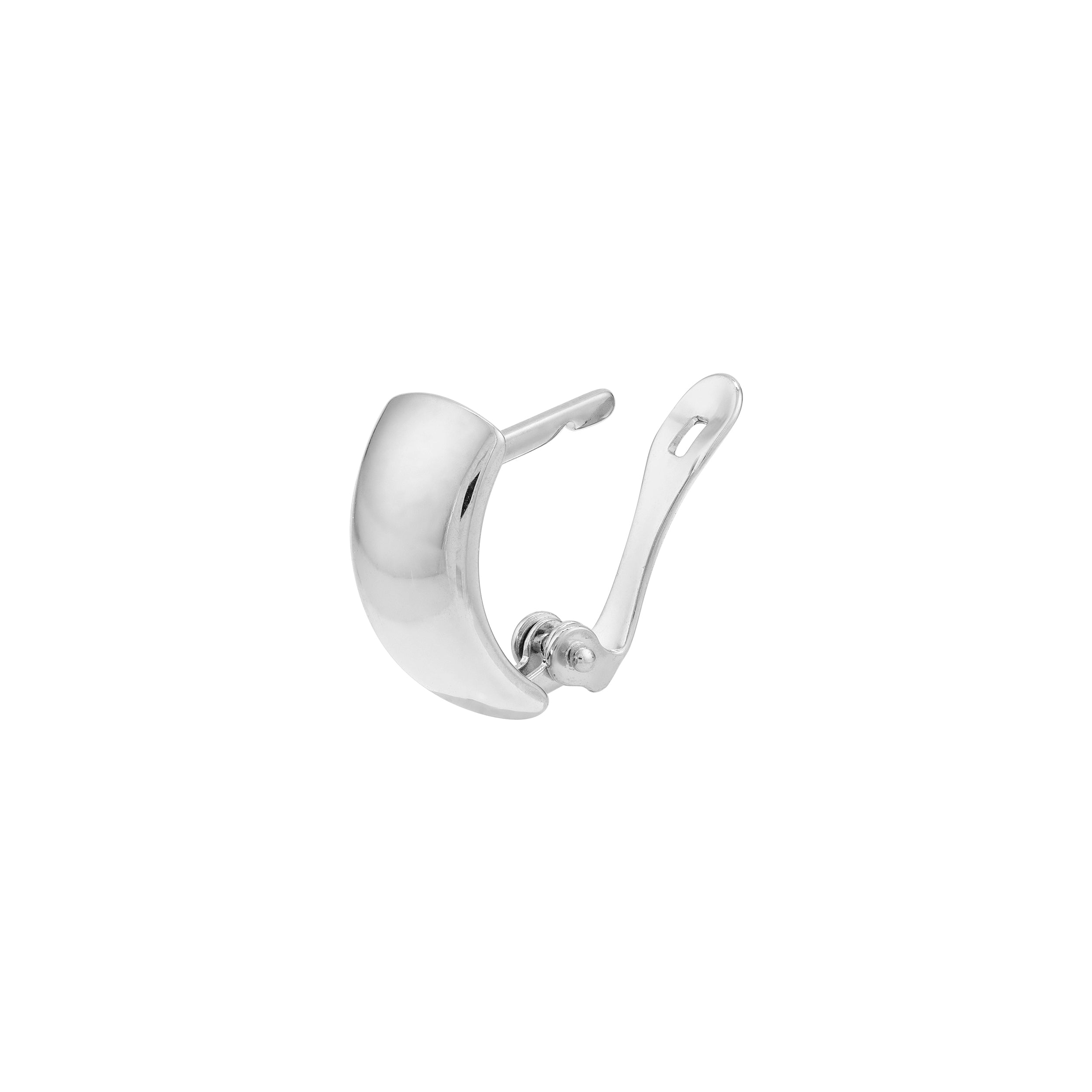 Polished Curve Earrings on Leverback
