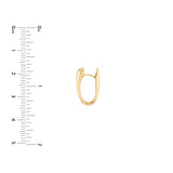 Tapered Oval Hoop Earrings