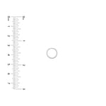 12.35 X 2MM Square Wire Hoop Earrings