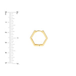 Mini Pentagon Shaped Hoop Earrings