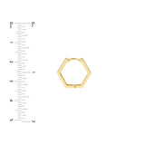 Mini Pentagon Shaped Hoop Earrings