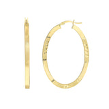 45mm Square Tube D/C Oval Hoop
