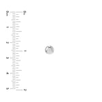 5.5mm Flat Round Pebble Stud Earrings