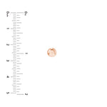 5.5mm Flat Round Pebble Stud Earrings