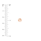 5.5mm Flat Round Pebble Stud Earrings
